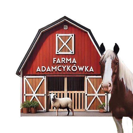 Apartamenty Adamcykowka Blisko Velo Czorsztyn! 클루슈코프체 외부 사진