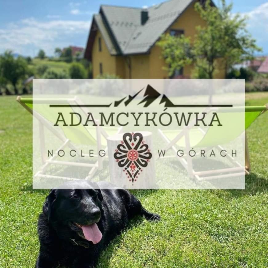 Apartamenty Adamcykowka Blisko Velo Czorsztyn! 클루슈코프체 외부 사진